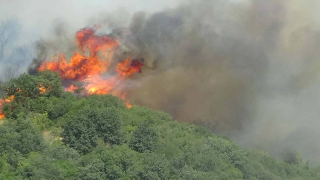 Çanakkale'de orman yangını: Havadan karadan müdahale ediliyor 7